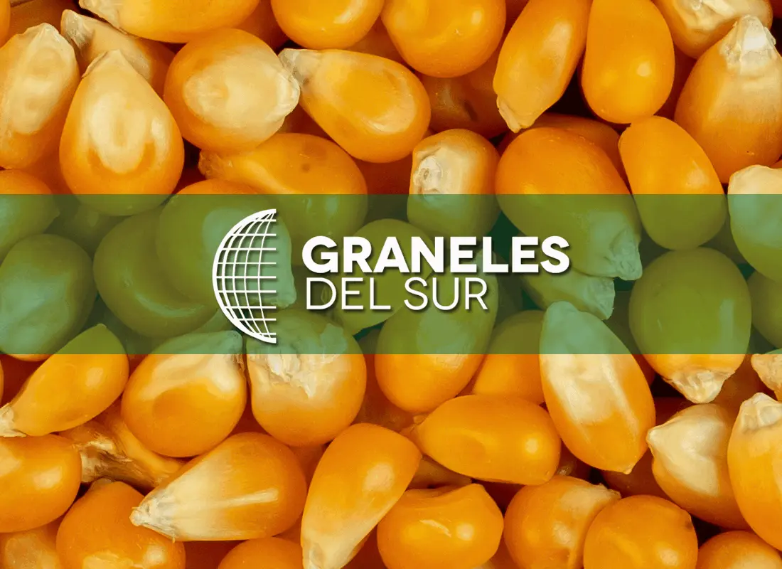 Graneles del Sur